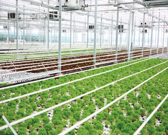 好色先生下载观看大棚種植空氣源熱泵方案：科技賦能農業，助力綠色高效種植